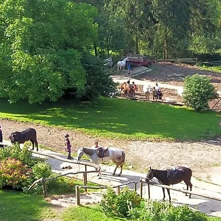 Gorski Osrodek Jezdziecki - Sniadania - Termy Bukowina Tatrzańska